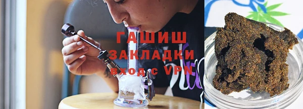 шишки Белокуриха