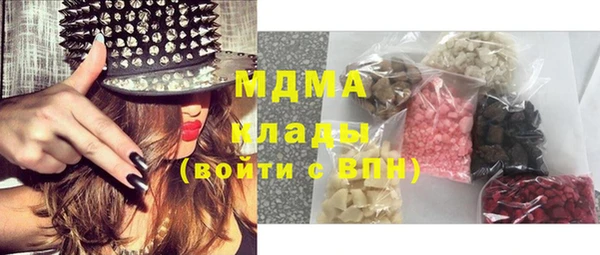 шишки Белокуриха